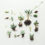 Adult Education Drawing with Nature