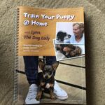 Dog Training: Beginners Course