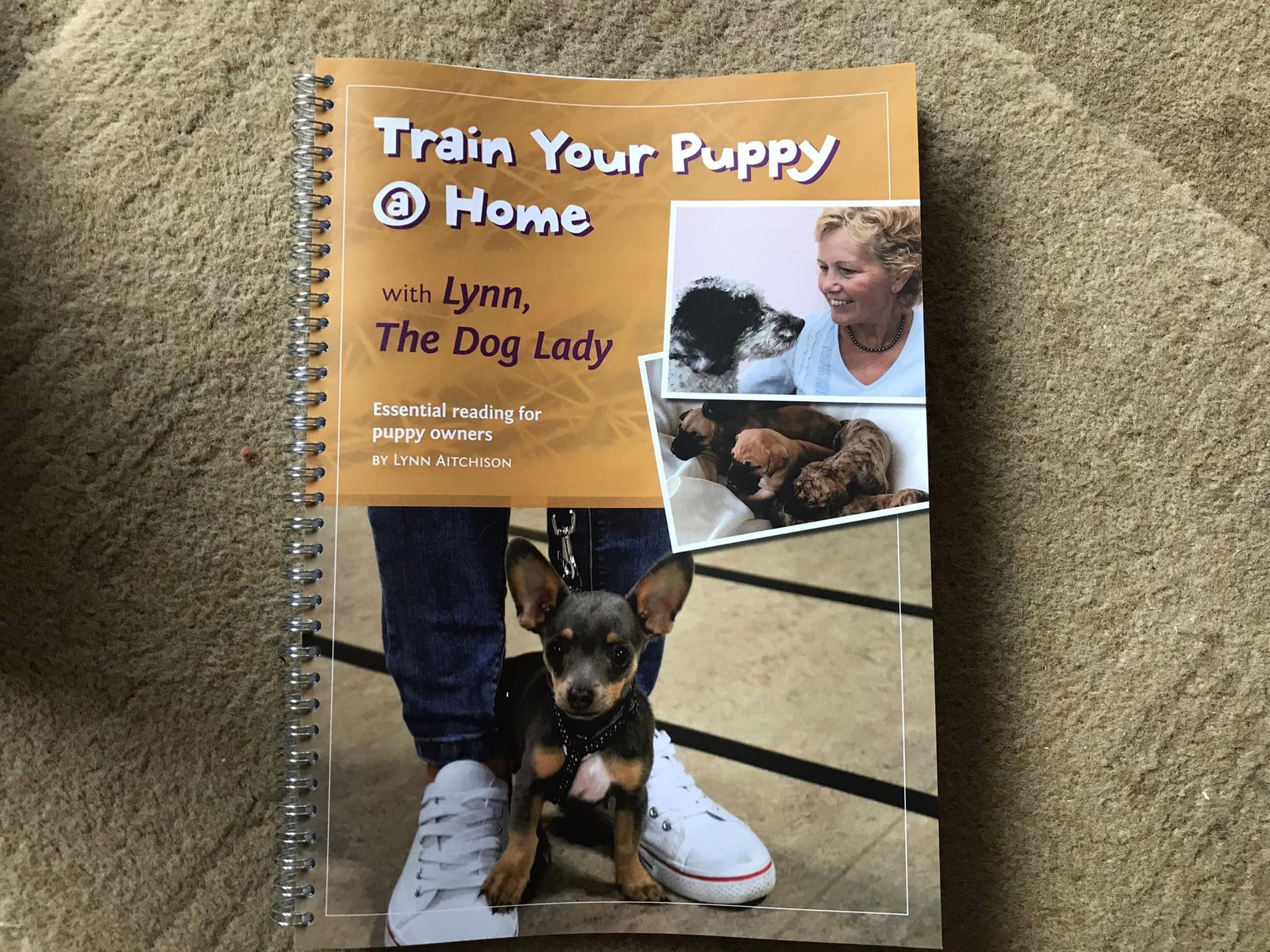 Dog Training: Beginners Course