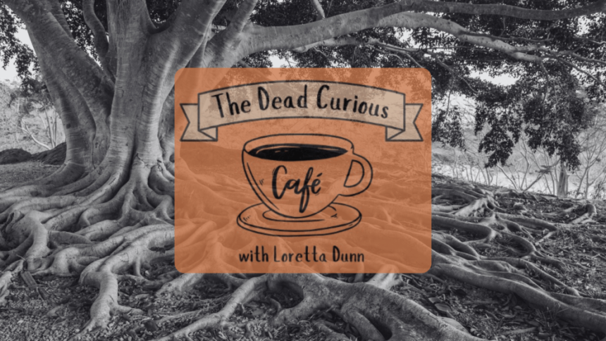The Dead Curious Cafe at Tribe Porty