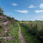 Tour: Newhailes Estate